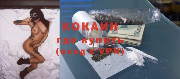твердый Нягань