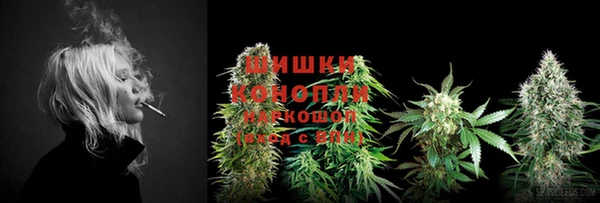 молекула духа Няндома