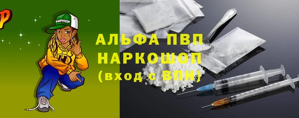 стаф Осташков
