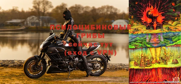 стаф Осташков