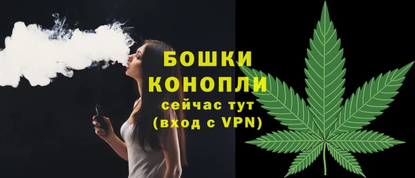 твердый Нягань