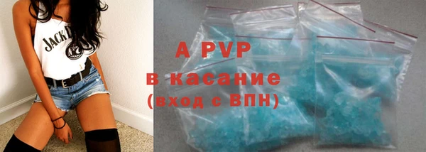 индика Елизово
