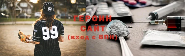 индика Елабуга