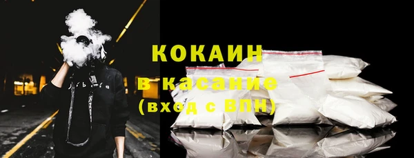 молекула духа Няндома