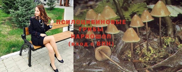 альфа пвп Осинники