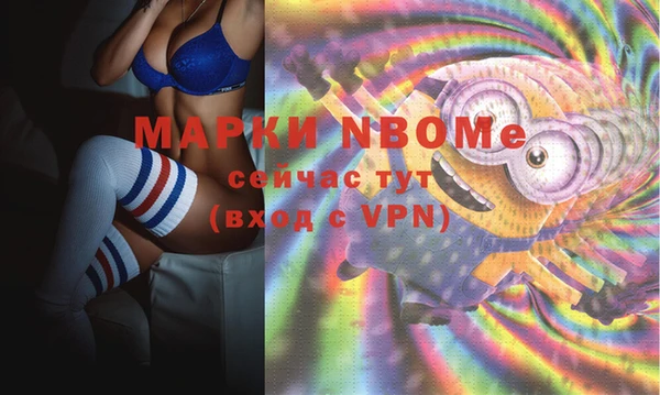 мдпв Ельня