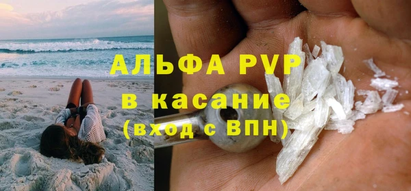 ГАЛЛЮЦИНОГЕННЫЕ ГРИБЫ Новозыбков