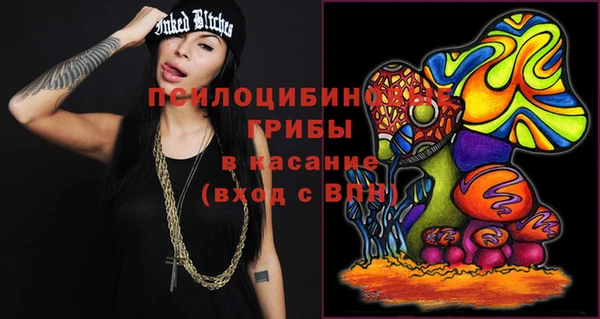 молекула духа Няндома