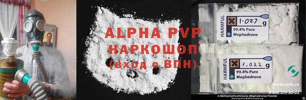 ГАЛЛЮЦИНОГЕННЫЕ ГРИБЫ Инта